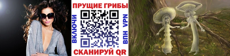 MEGA tor Зима Галлюциногенные грибы MAGIC MUSHROOMS закладки