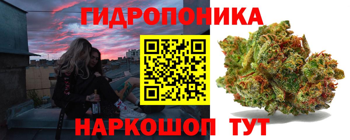 МАРИХУАНА White Widow Зима